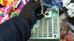 Где можно найти медь зимой в городе . Поиск по мусорным бакам .