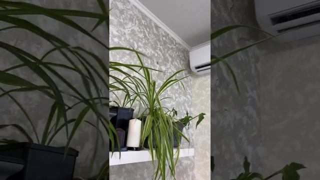 Муха и кондиционер ? смотреть онлайн