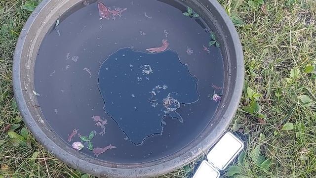 Чистимся от негатива, черных мес и отсекаем всех своих врагов от себя и дома. смотреть онлайн