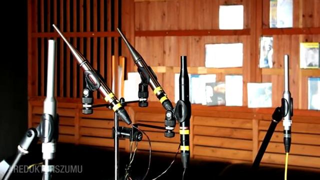 Cyfrowa korekcja akustyki pomieszczeń [Reduktor Szumu] #274 смотреть онлайн