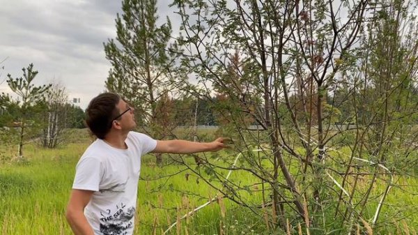 Александр Брагин