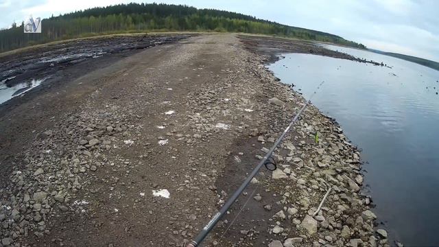 Береговая РЫБАЛКА на дешевые воблеры#Щуки атакуют Май 2020г😁 смотреть онлайн