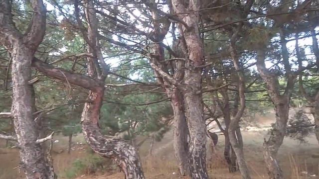 797. Факты. Талант .Разговаривают друзья ,один _ музыкант ,другой ,просто его ... смотреть онлайн