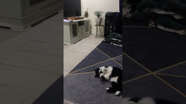 12-03-2024 На консультация у психолога