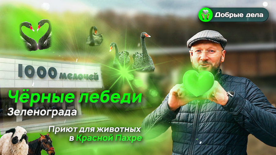 Черные лебеди Зеленограда. Добрые дела «СпецДорПроект».