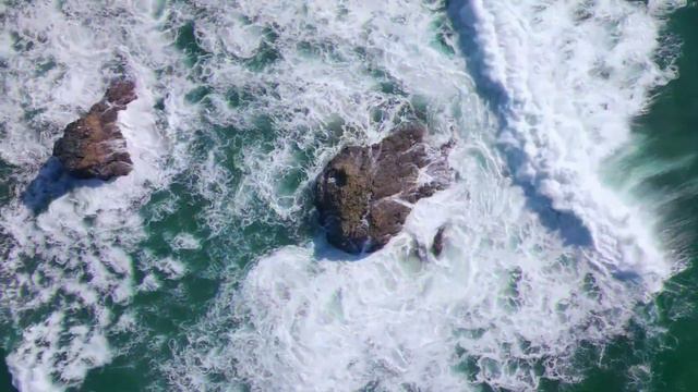 [Free] Emin X Hammali X Navai - 