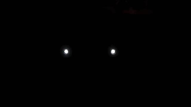 Night Owl LEDs смотреть онлайн