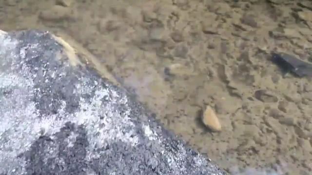 Поездка в Сочи посёлок Вардане смотреть онлайн