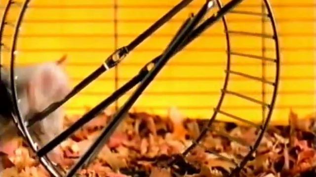 Levi's Advert - Kevin The Hamster (1998) смотреть онлайн
