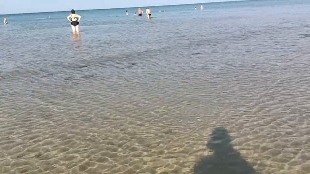 Анапа. Погода супер! Море холодное, но чистое. Ибо течение сменилось. Пляж Джемете. 14 августа 2023 смотреть онлайн