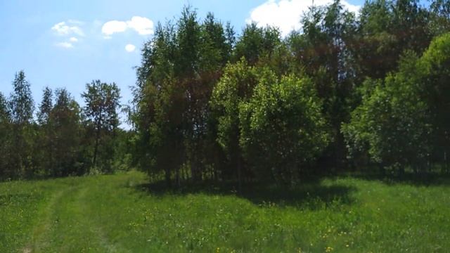 Дачное 1 смотреть онлайн