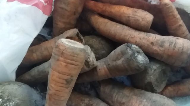 Как сохранить овощи? #ДеревенскоеСело