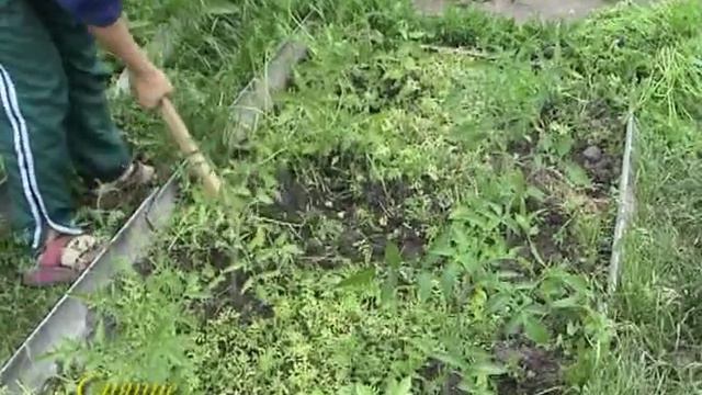 весна 10 смотреть онлайн