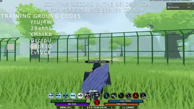 FREE PRIVATE SERVER TRAINING GROUND CODES ( Shindo Life Roblox ) смотреть онлайн