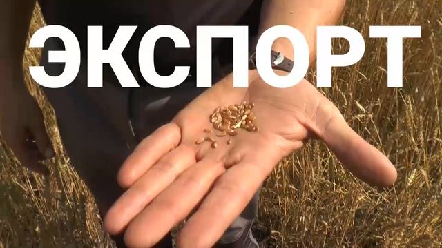 Алтай-агро 2022 смотреть онлайн