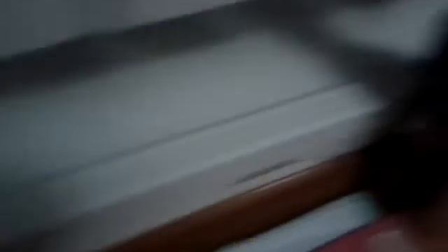 Парень подарил девушке котёнка. смотреть онлайн