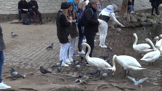 На машине в Европу 2019 #12. В Прагу на машине. Прага - что посмотреть? Достопримечательности Праги смотреть онлайн