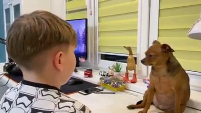 Дети начинают говорить по-английски после сказки-игры «В поисках сокровищ английского языка» смотреть онлайн