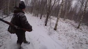 Охота на Зайца с Русской Гончей. Кировская область