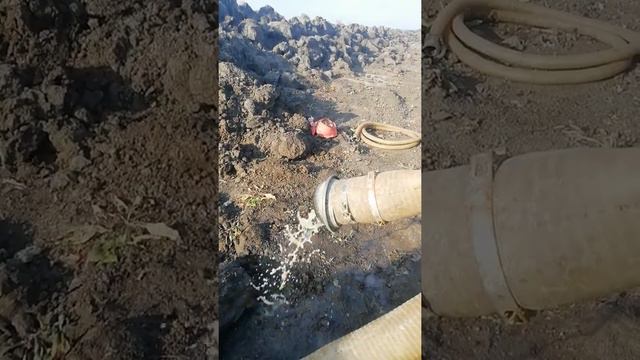 Работа системы иглофильтрового водопонижения - RentaPump.ru