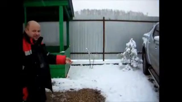 НАГЛЫЕ СИНИЦЫ НА СТРОЙКЕ смотреть онлайн