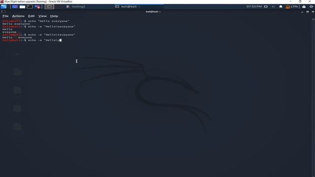How to use echo command in Kali Linux смотреть онлайн