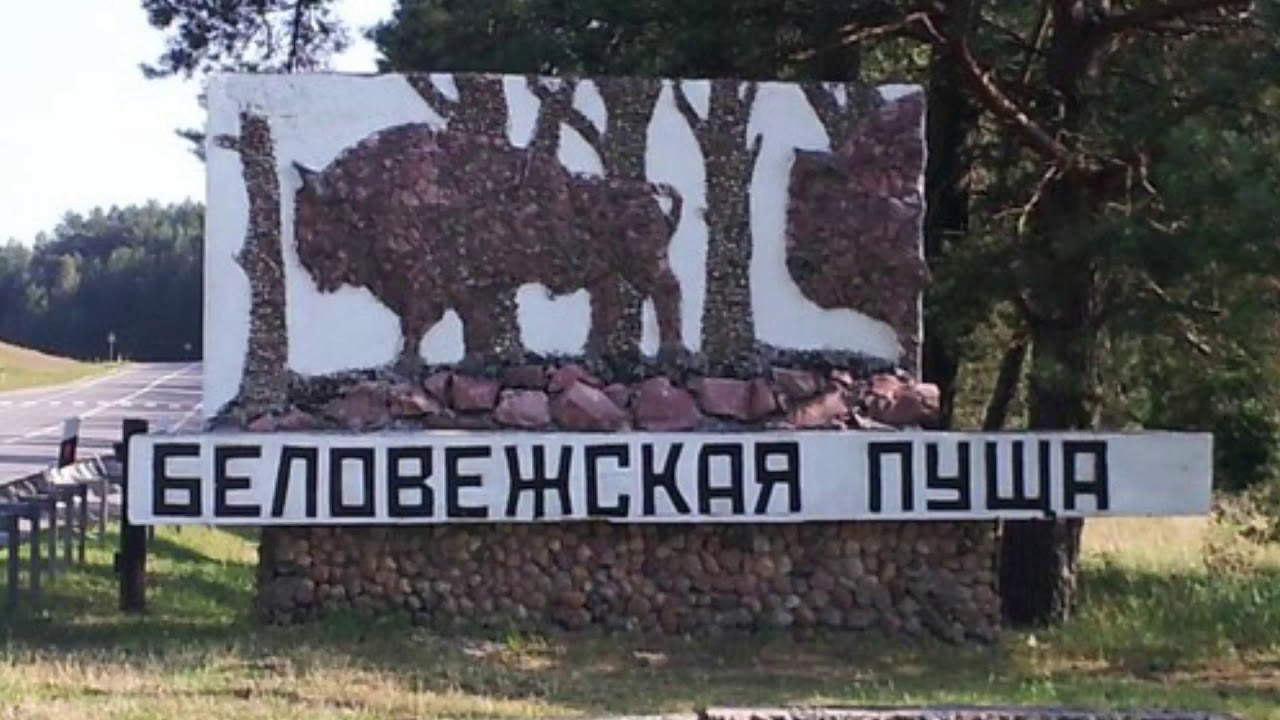 ВИА Песняры. Беловежская пуща. смотреть онлайн