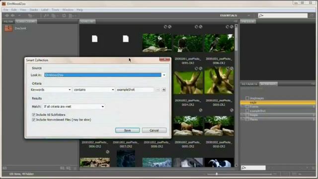 [HD] Smart Collections: Adobe Bridge Tutorial смотреть онлайн