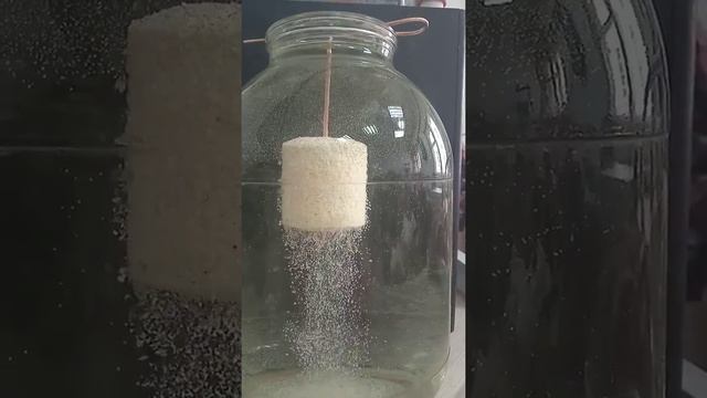 САМЫЙ ПРОСТОЙ РЕЦЕПТ ТЕХНОПЛАНКТОНА СВОИМИ РУКАМИ. ДЕШЁВЫЙ РЕЦЕПТ ДЛЯ ЛОВЛИ ТОЛСТОЛОБИКА. смотреть онлайн