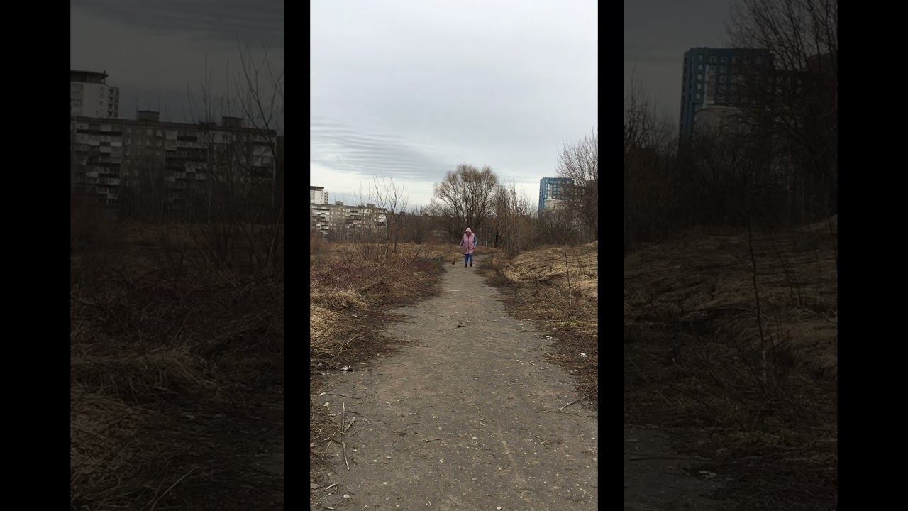 Как другие девушки гуляют с и как гуляю я #dog #весна #гуляюссобакой #собака смотреть онлайн