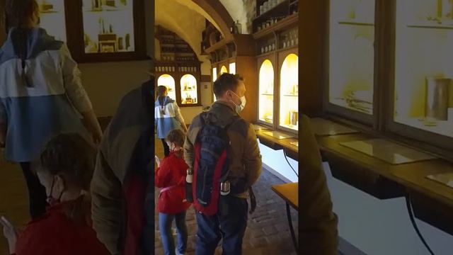 Heidelberg. Город студентов и не только. смотреть онлайн