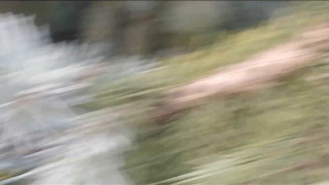 СКАЗКА ПАРК. СТИХИ ДЛЯ МАЛЫШЕЙ. ПОТЕШКИ. Короткие стишки для самых маленьких. смотреть онлайн