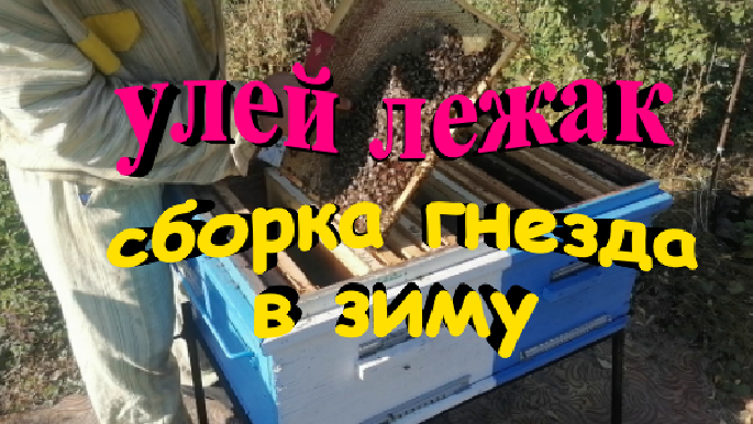 Улей лежак. Сборка гнезда в зиму. Контроль кормов. смотреть онлайн