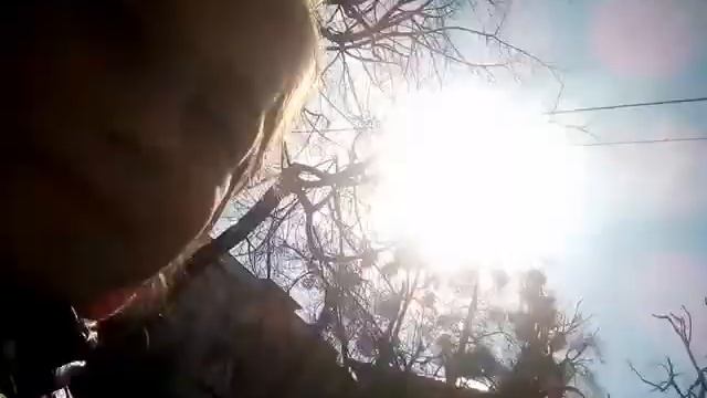 Ослик ''И-А" смотреть онлайн