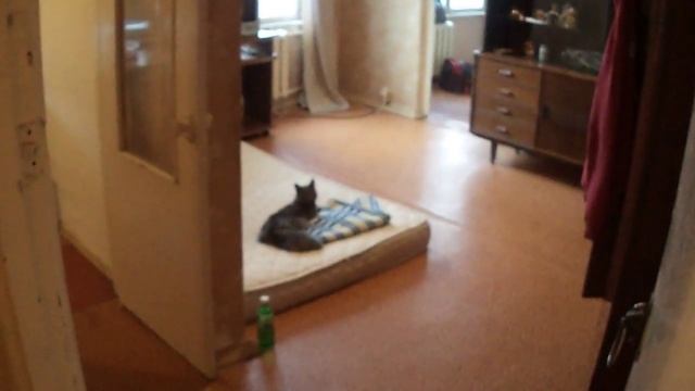 Как я живу в Москве смотреть онлайн