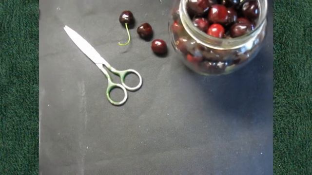 126 инструмент для сбора черешни вишни сливы и других ягод плодосборник для фруктов самодельный смотреть онлайн