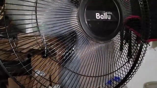 Вентилятор Ballu смотреть онлайн