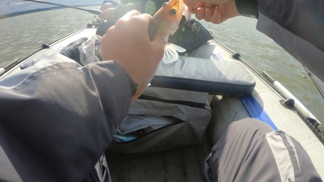 Ловля судака в октябре. Бердский залив. Рыбалка 2019. смотреть онлайн