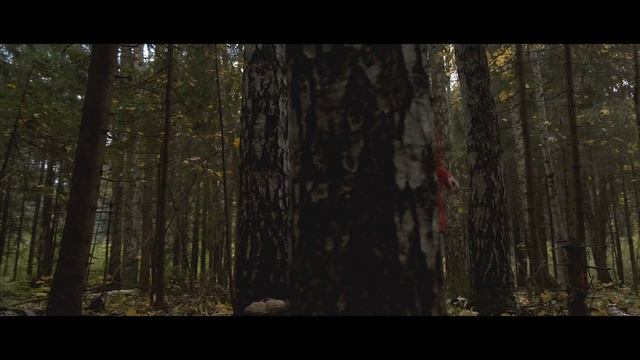 Fujifilm X-T3 примеры видео (sample footage) смотреть онлайн