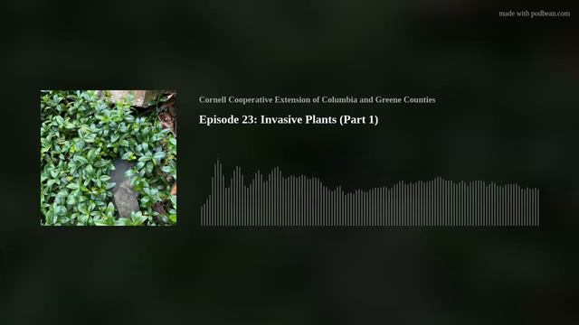 Episode 23: Invasive Plants (Part 1) смотреть онлайн