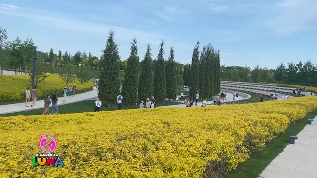 Passeando com a Luna na Rússia depois da Cirurgia. Park Krasnodar смотреть онлайн