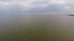 Дикая природа Крыма