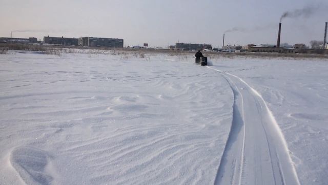 Мото-собака на прогулке