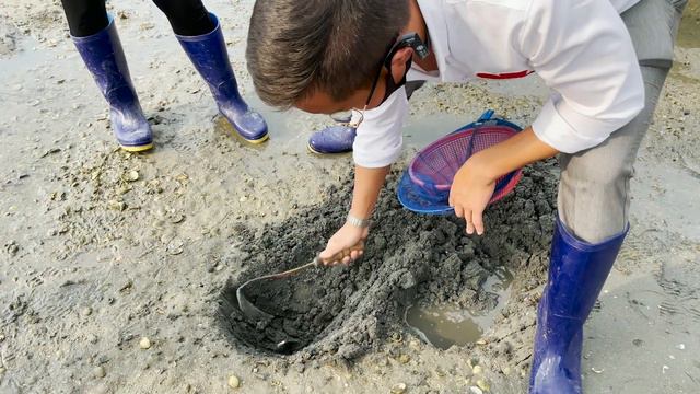 KOREA VLOG / Игра в Кальмара в Корее / Путешествие по невероятной Корее / 통영 смотреть онлайн