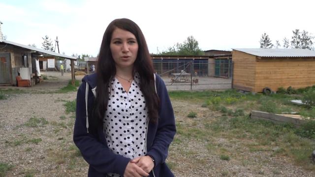 Из приюта домой 09-06-21 смотреть онлайн