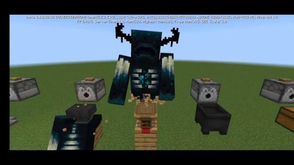 В КАКИЕ БЛОКИ МОЖЕТ ЗАЛЕЗТЬ ВАРДЕН? WARDEN 1.19 | RSHEL