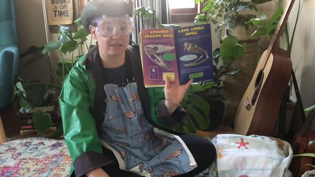 Who Would Win: Komodo Dragon vs King Cobra, by Jerry Pallotta смотреть онлайн