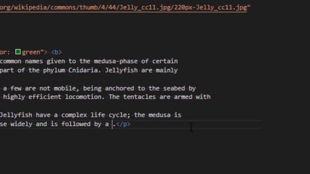 HTML Sinhala Episode 05 anchor tag & formatting tags смотреть онлайн
