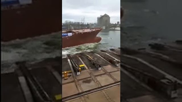 Сточня в Гданську смотреть онлайн