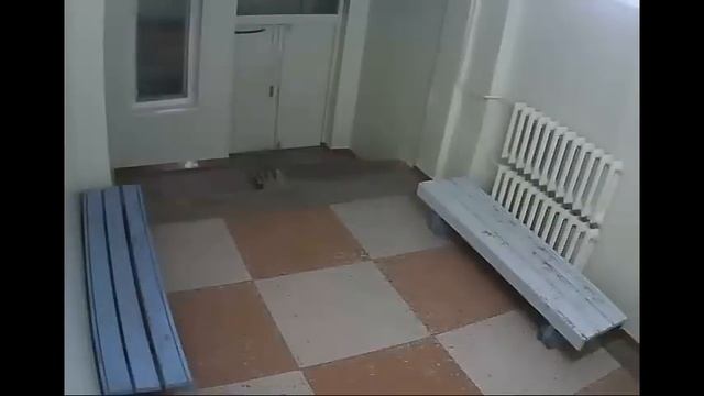 В перинатальный центр Братска подбросили новорожденного смотреть онлайн